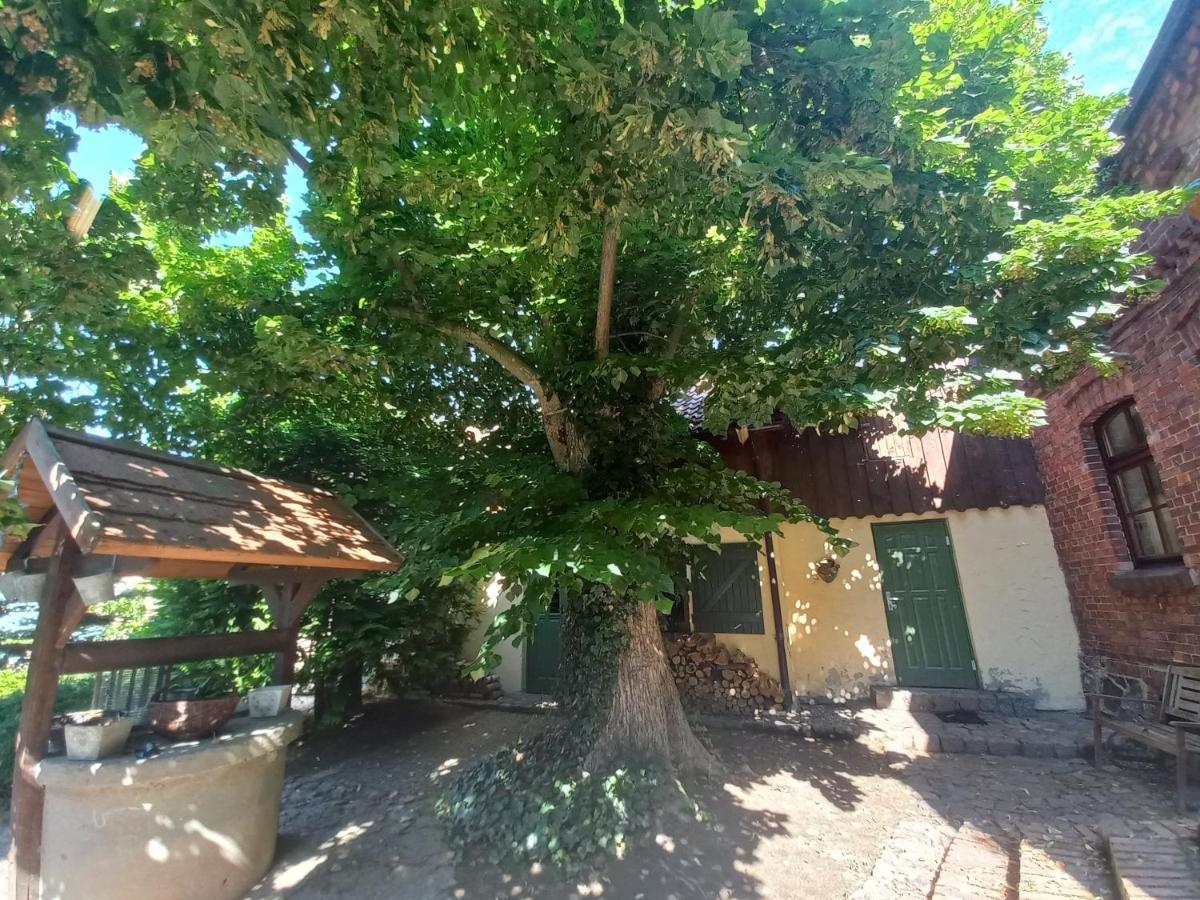 Avalon Polchowo Kamien Pomorski Εξωτερικό φωτογραφία