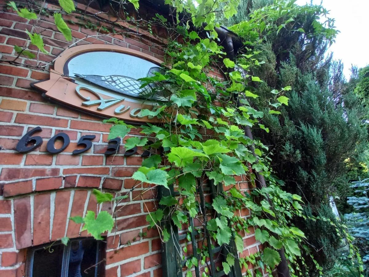 Avalon Polchowo Kamien Pomorski Εξωτερικό φωτογραφία
