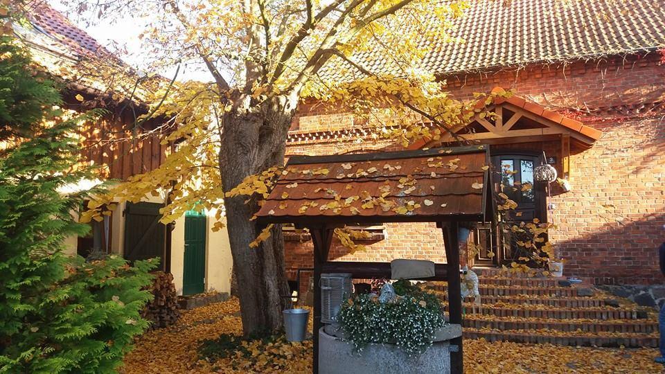 Avalon Polchowo Kamien Pomorski Εξωτερικό φωτογραφία