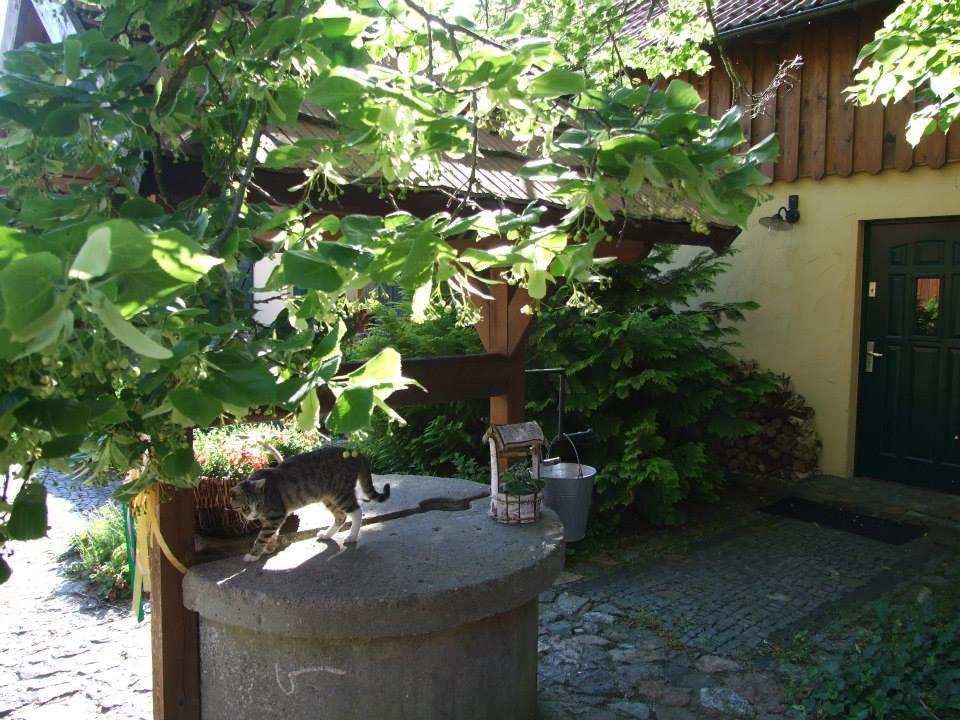 Avalon Polchowo Kamien Pomorski Εξωτερικό φωτογραφία